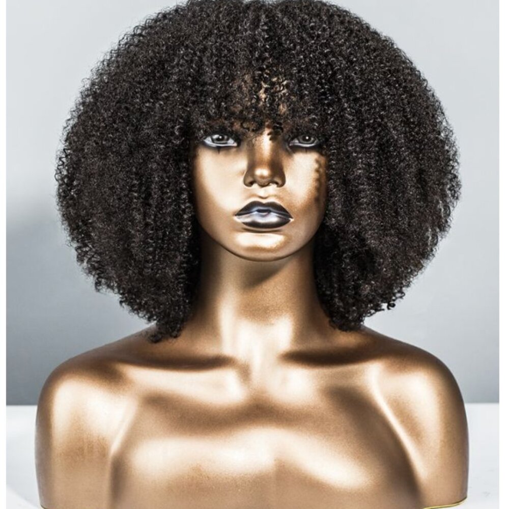 WingsByHerGivenHair Natural 3C4A Coily Texture Top Lace Wig w/Bangs (Never Worn)